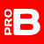 BORISOV-PRO 